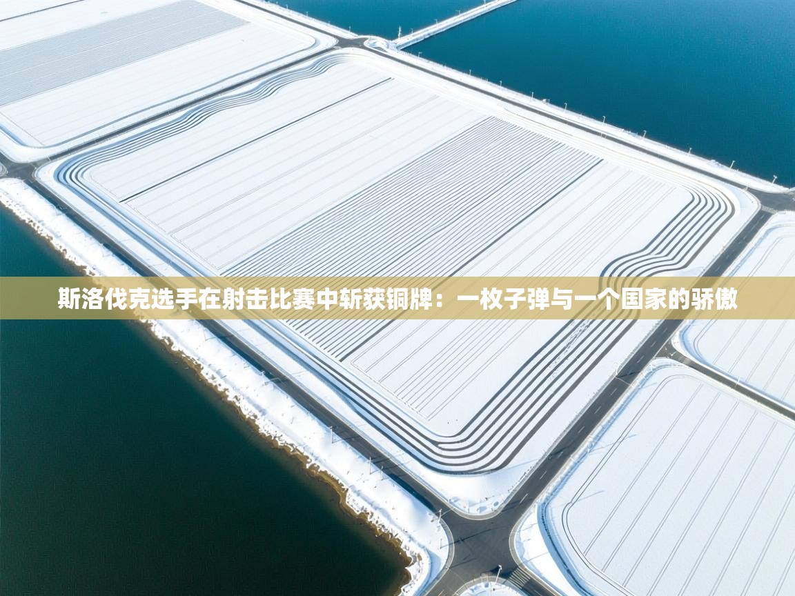 斯洛伐克选手在射击比赛中斩获铜牌:一枚子弹与一个国家的骄傲 第1张