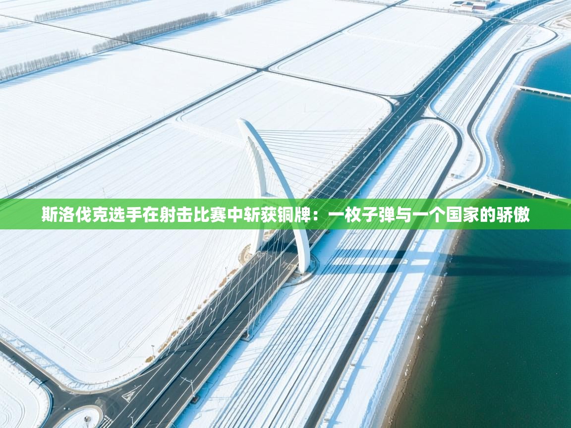 斯洛伐克选手在射击比赛中斩获铜牌:一枚子弹与一个国家的骄傲 第2张